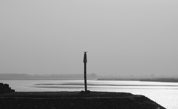 DSC_9417