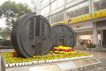P1010295