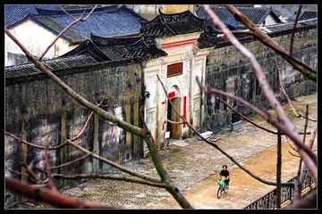 IMG_0135_