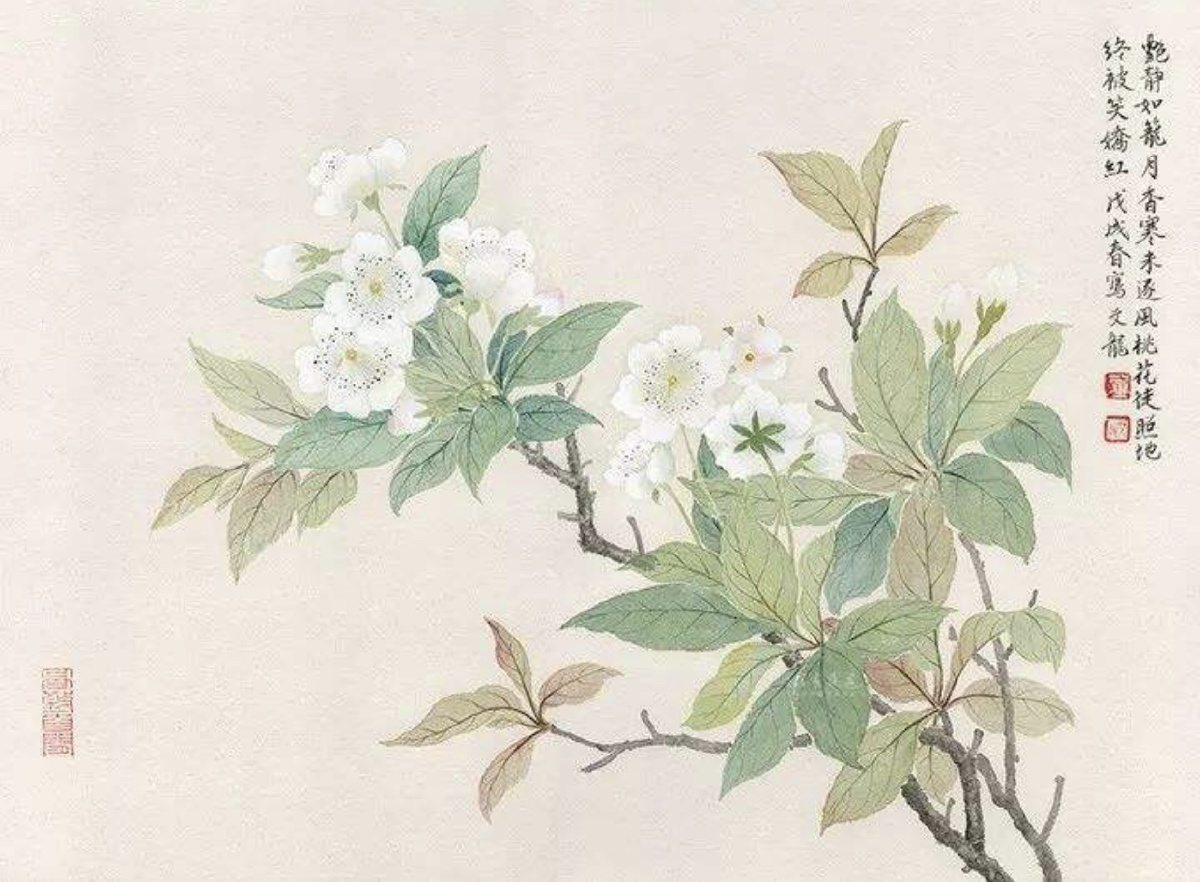 国画梨花素材