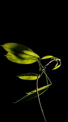 1O9A5863 - 
