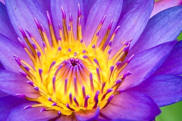 _DSC0862 - 