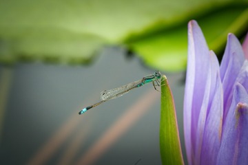 _DSC0868 - 