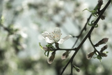 DSC_0102-1