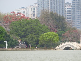 20200311152552