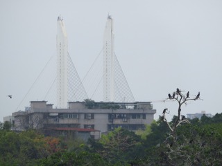 20200311151704_1