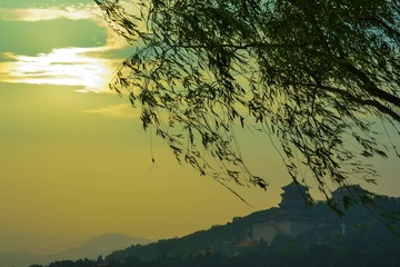 33DSC_0262