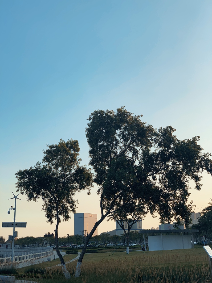 iphonexsmax原图拍摄