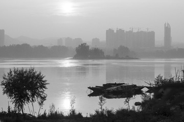 _DSC9505