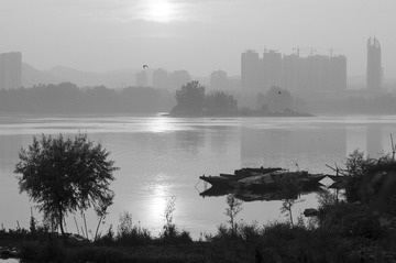 _DSC9509