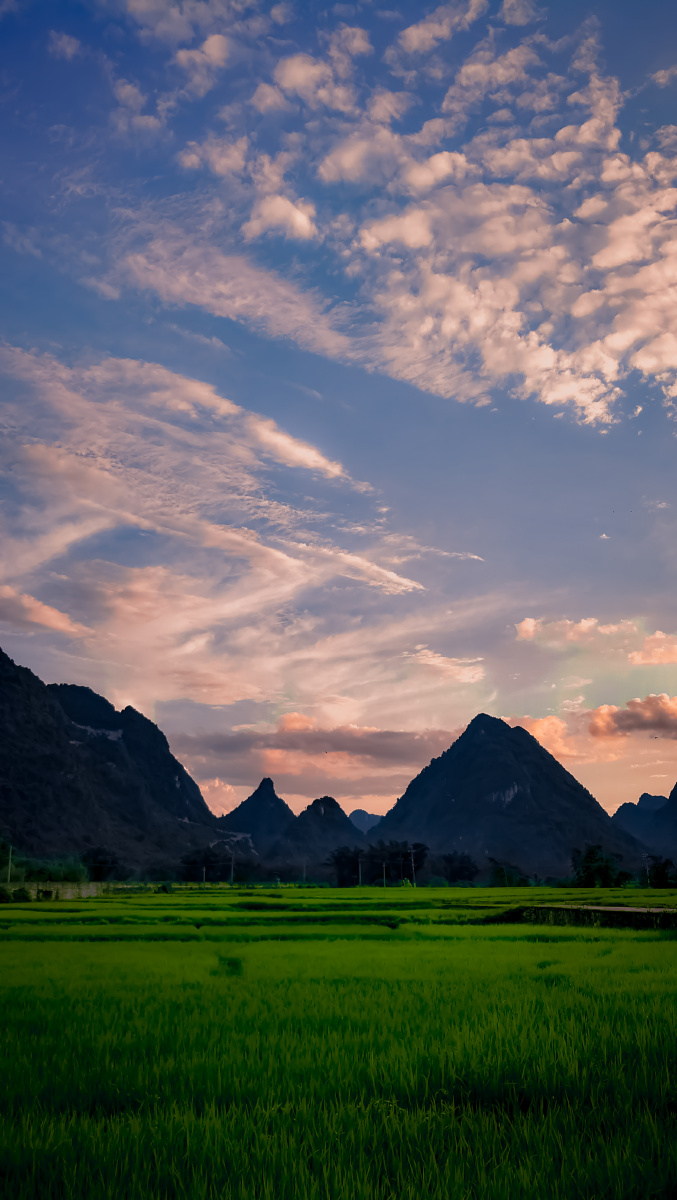 傍晚时分的田野给人以静美