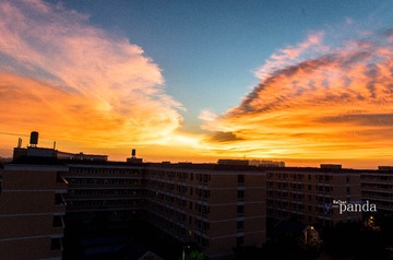 _DSC7728
