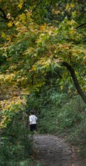 山路