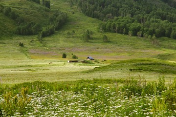 禾木山顶