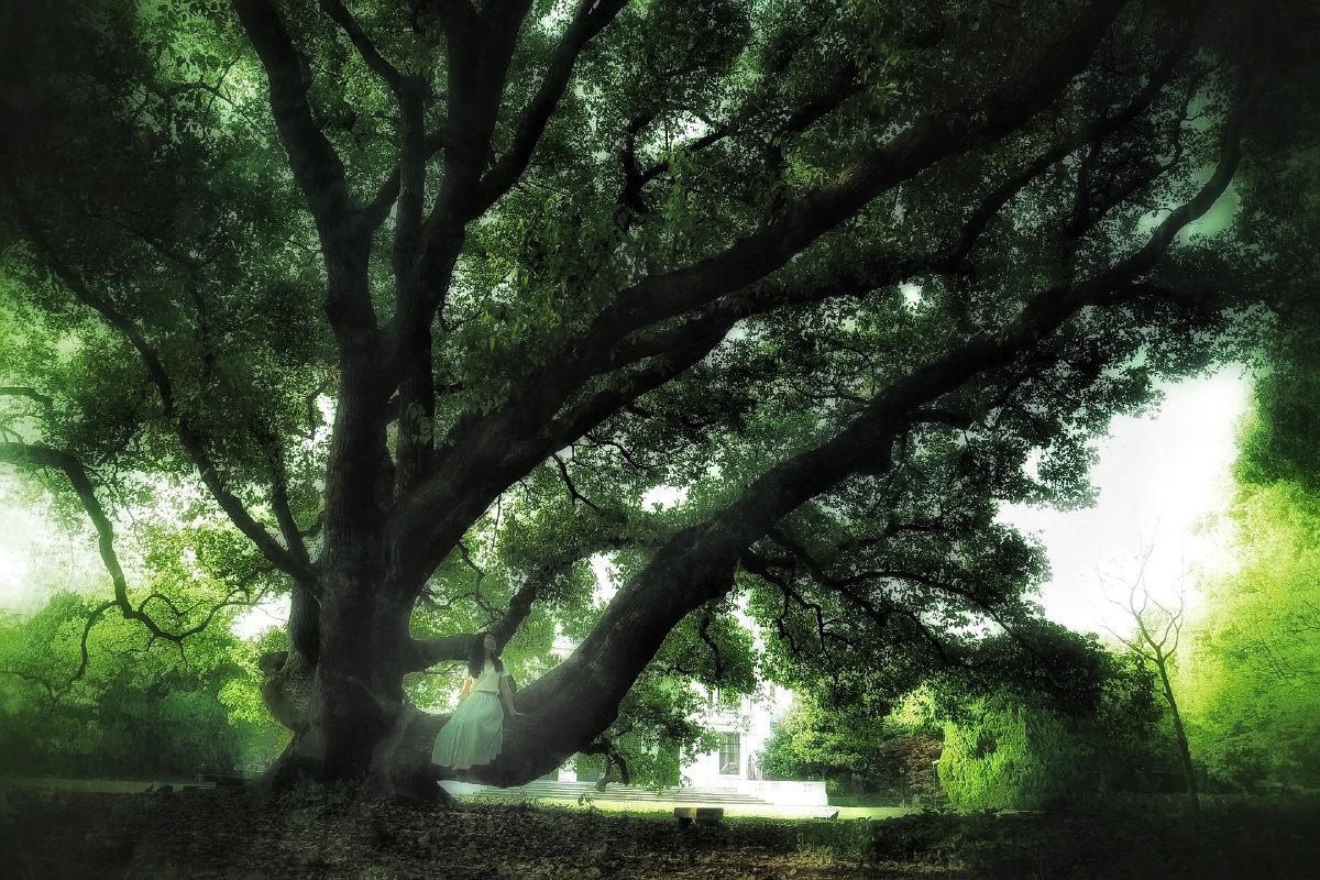 爱丽丝的兔子洞世界