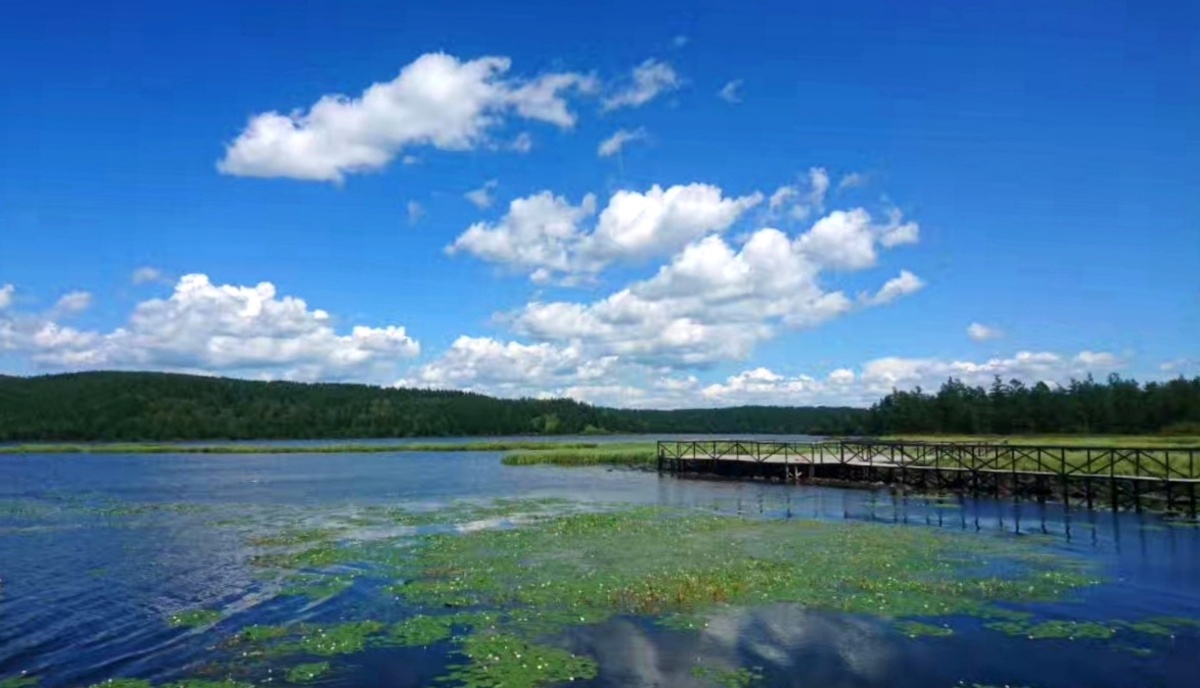 鹿鸣湖阿尔山风光
