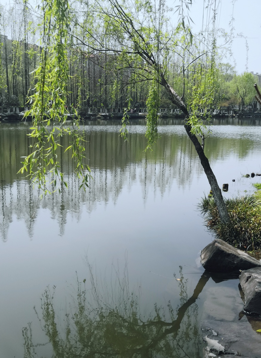 在湖州看见美丽中国——白鱼潭公园4 - 伽隐梓 - 图虫