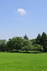 954961