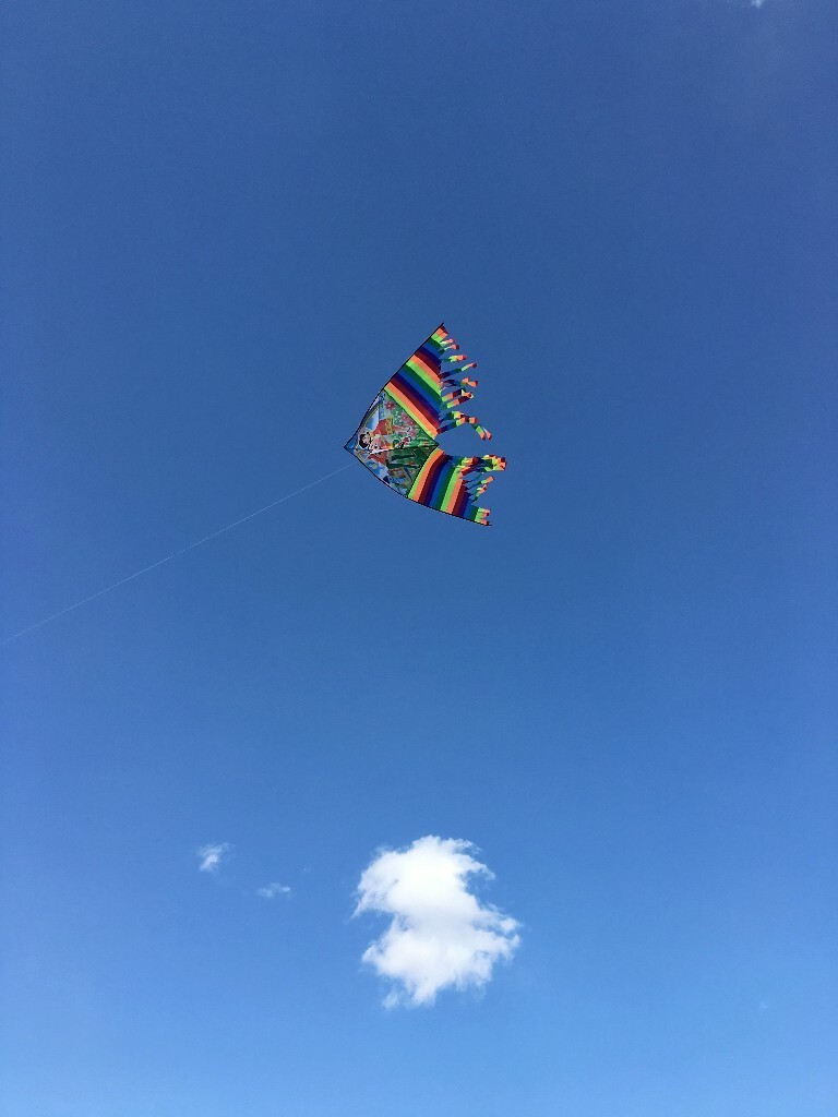 一朵云 便可以让天空辽阔；一次仰望 就让我如许澄澈 安静