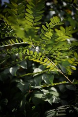 0EF1A927-7C6E-46AF-87EB-5281A6CEAFBD/L0/001