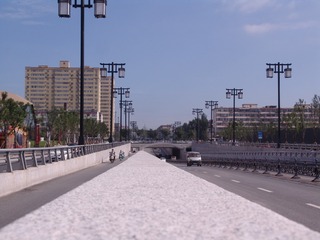 DSC09442(1)
