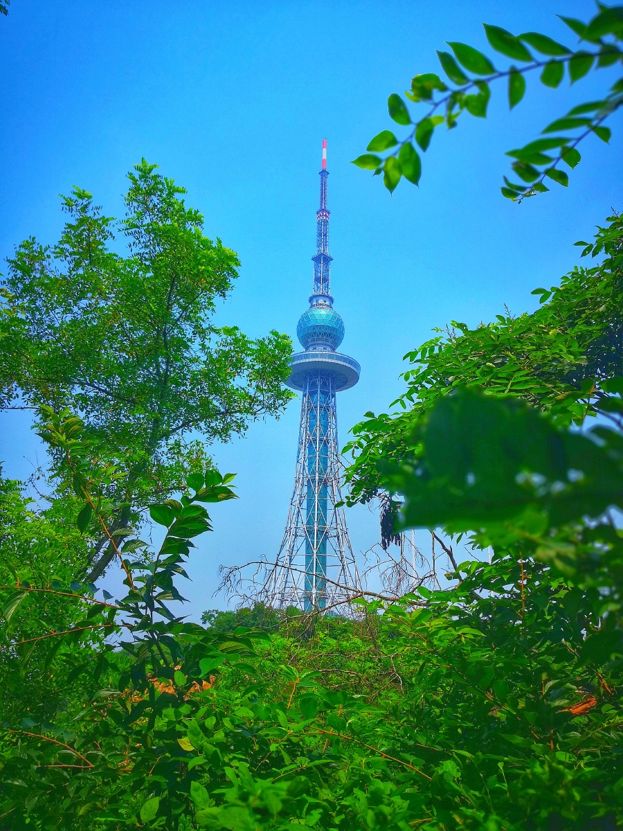 青岛太平山植物园