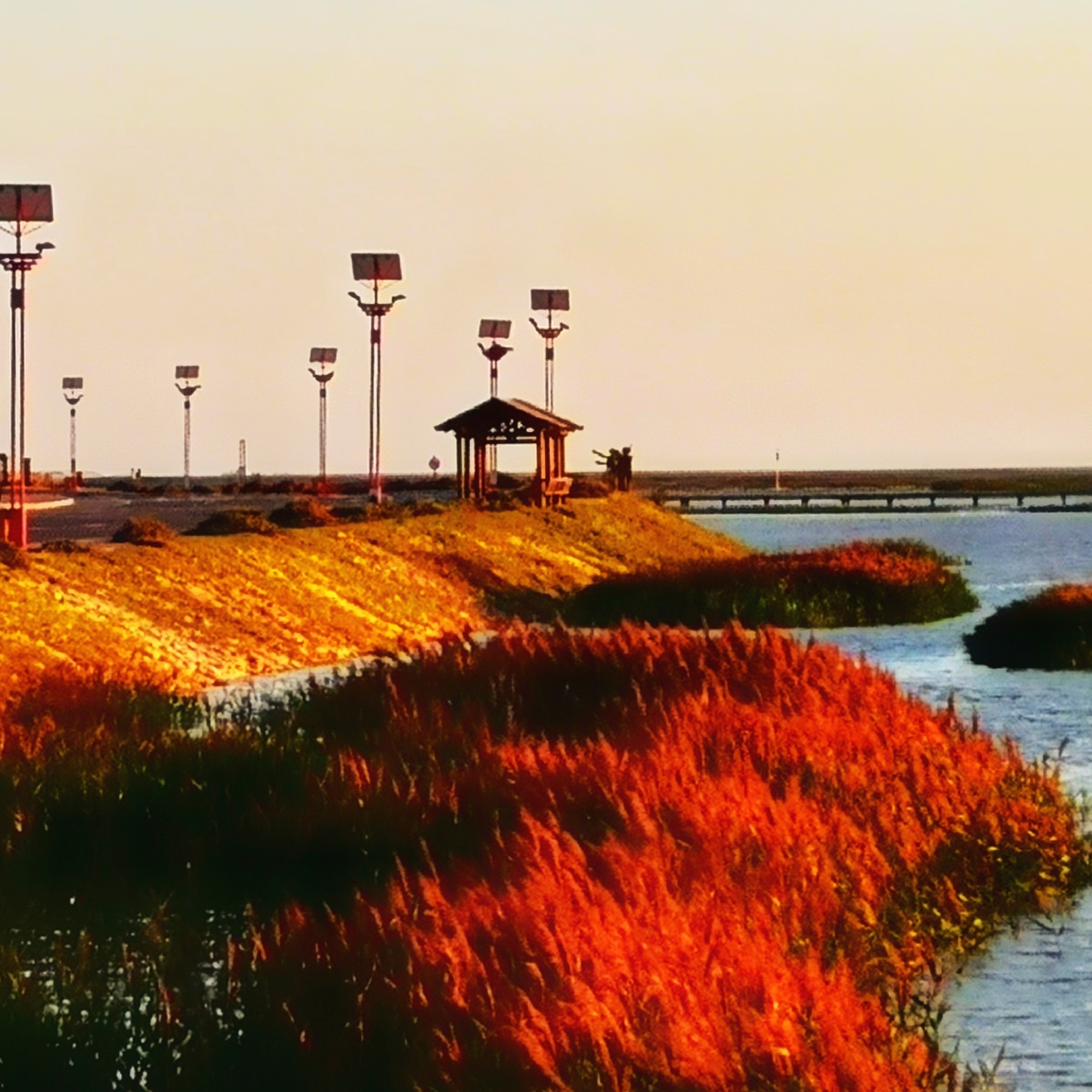 营口红海滩国家风景廊道