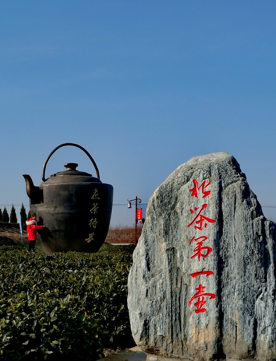 年初六青岛海青茶博园