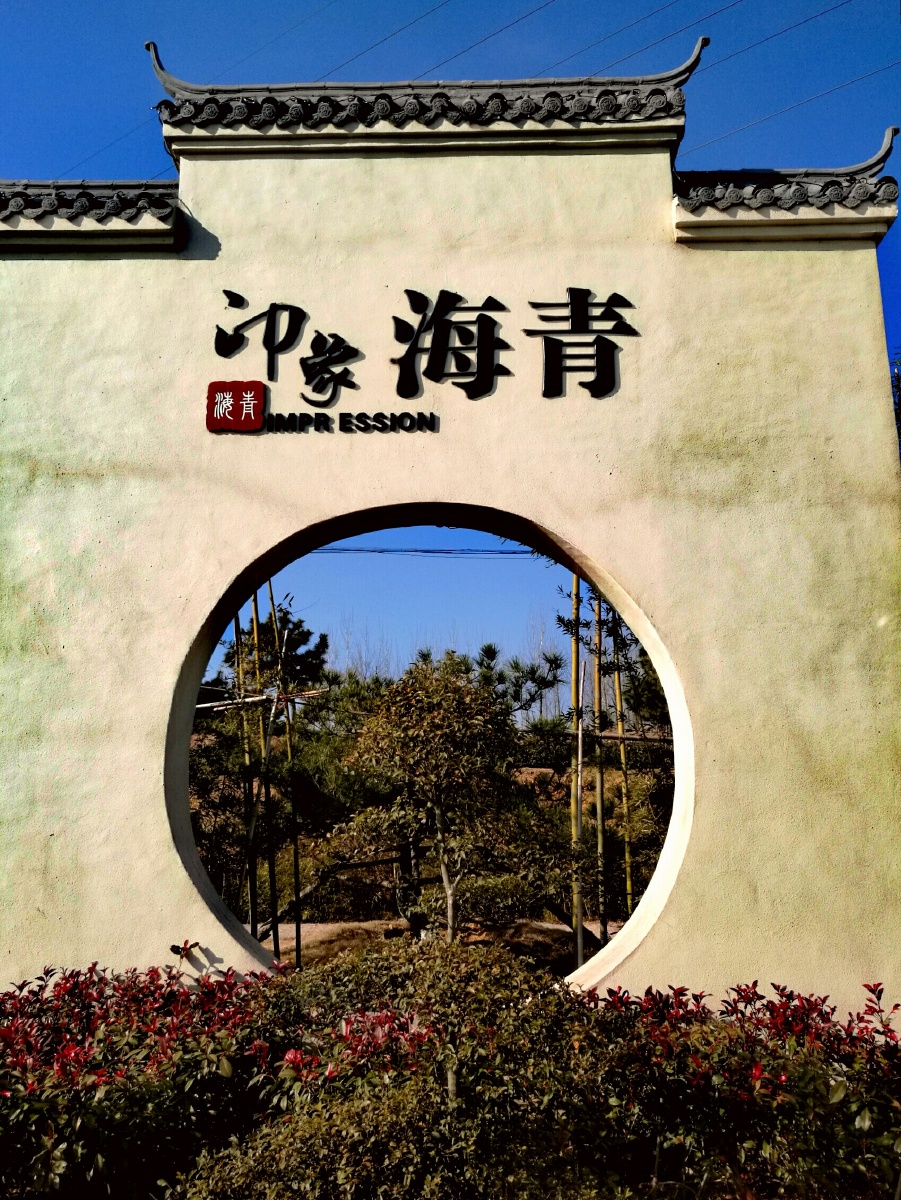 年初六青岛海青茶博园