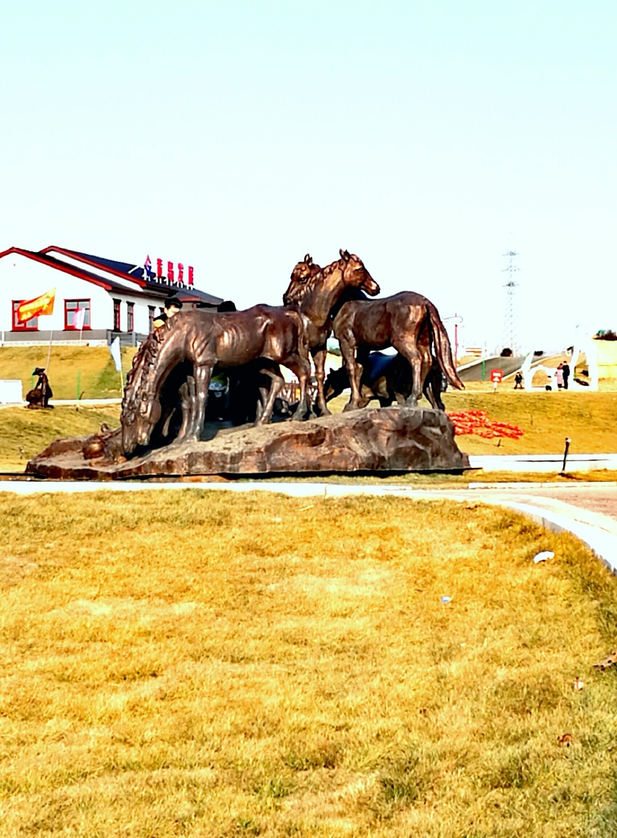 年初六青岛海青茶博园