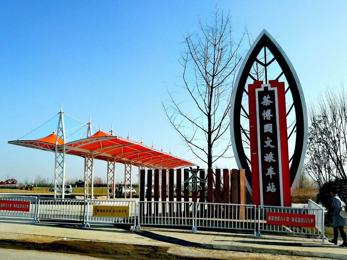 年初六青岛海青茶博园