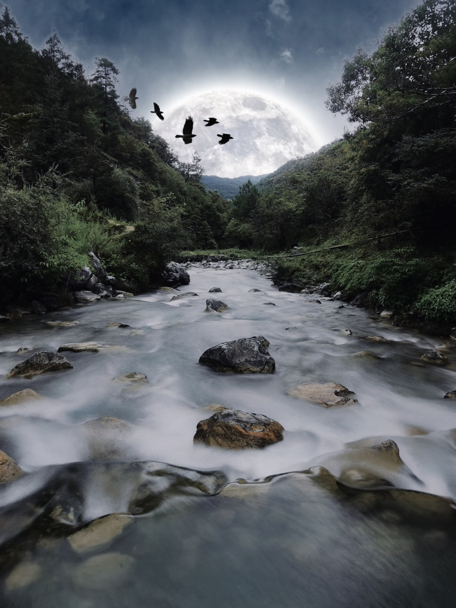 月出惊山鸟时鸣春涧中