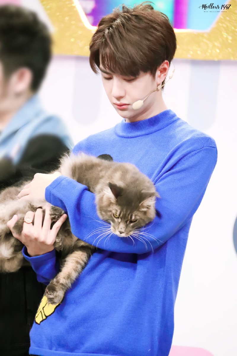 王一博王一博王一博王一博王一博王一博王一博王一博王一博王一博王