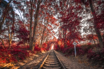 DSC_4904-HDR