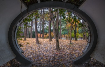 DSC_3113-HDR