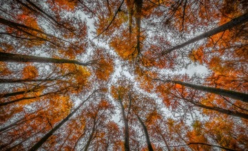 DSC_3152-HDR