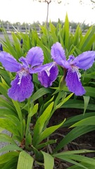 PIC_20140419_065424_000