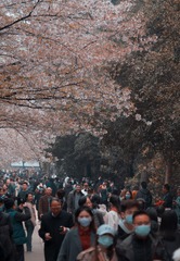 A8CEBC74-5D58-4297-AAB7-4EDDE7C595EB/L0/001
