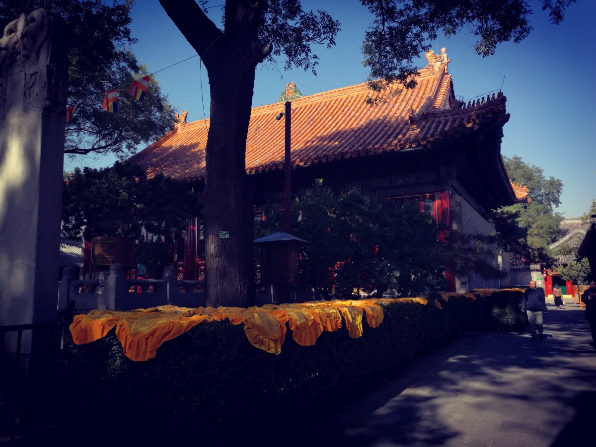 广济寺大雄殿