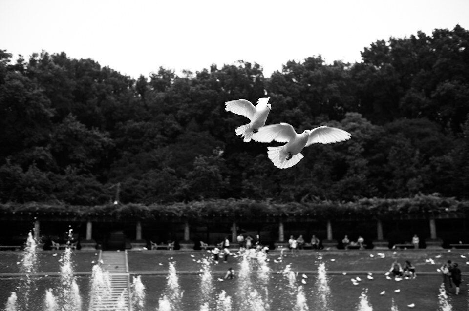 L1001356-2<br />
