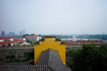 L1000950.jpg