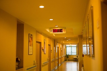 L1001477.JPG