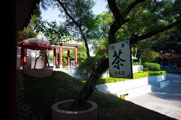 L1003485-编辑.jpg