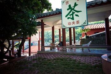 L1003480-编辑.jpg