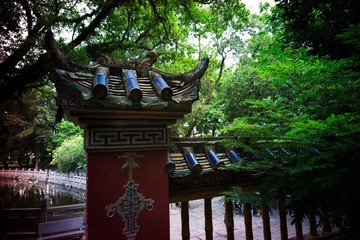 L1003668-编辑.jpg