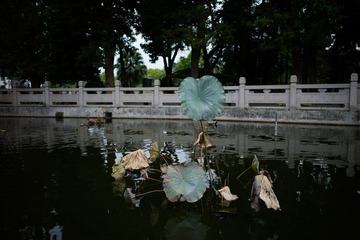 L1003882.jpg