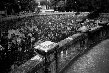 L1003887.jpg