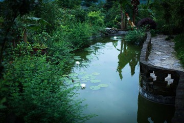 一号大院 025-3
