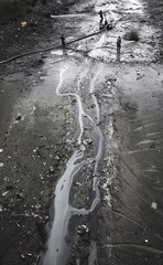 IMG_4388 22 33