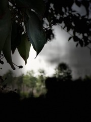 57392918-76F3-4D51-A28D-E021F12B6907/L0/001